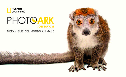Photo Ark_LOGO+TITOLO_OUT_NEW