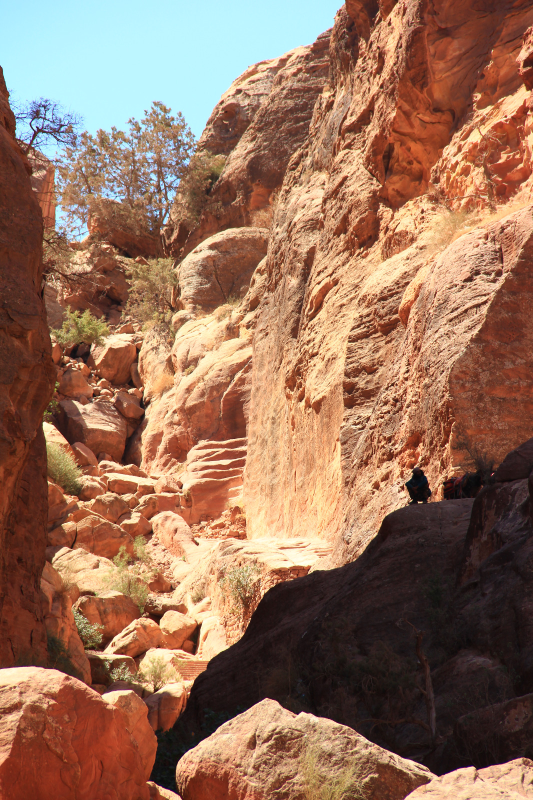 High Place of Sacrifice trail