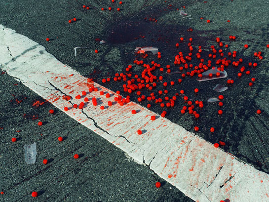  USA. New York City, NY. 2014. Cherries spilled on crosswalk. 