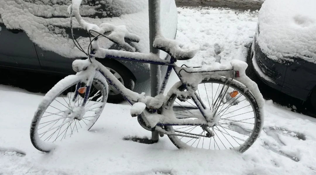 WhatsApp Image 2018-02-26 at 14.11.13.jpeg