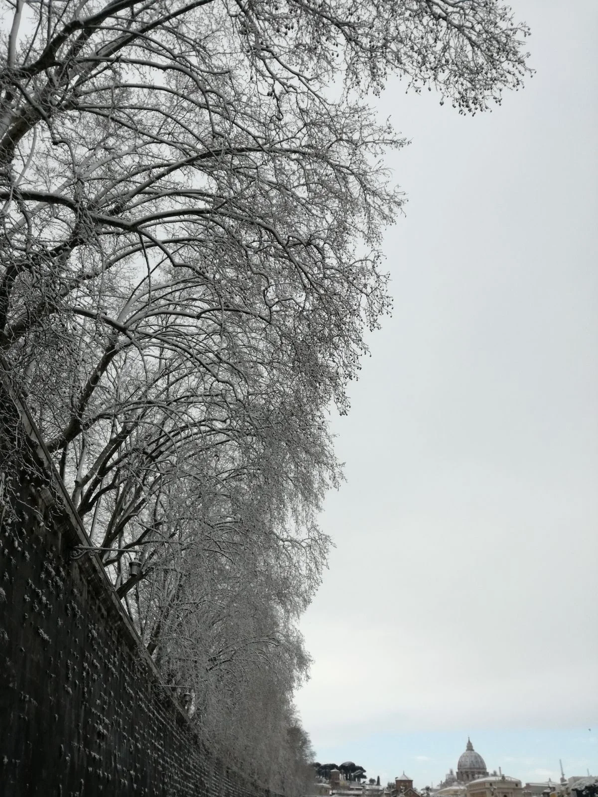 WhatsApp Image 2018-02-26 at 14.11.14.jpeg