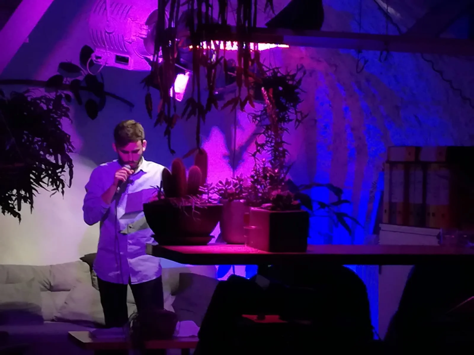 Dalla poesie di Trilussa alla commovente storia di Samia, la lettura diventa arte