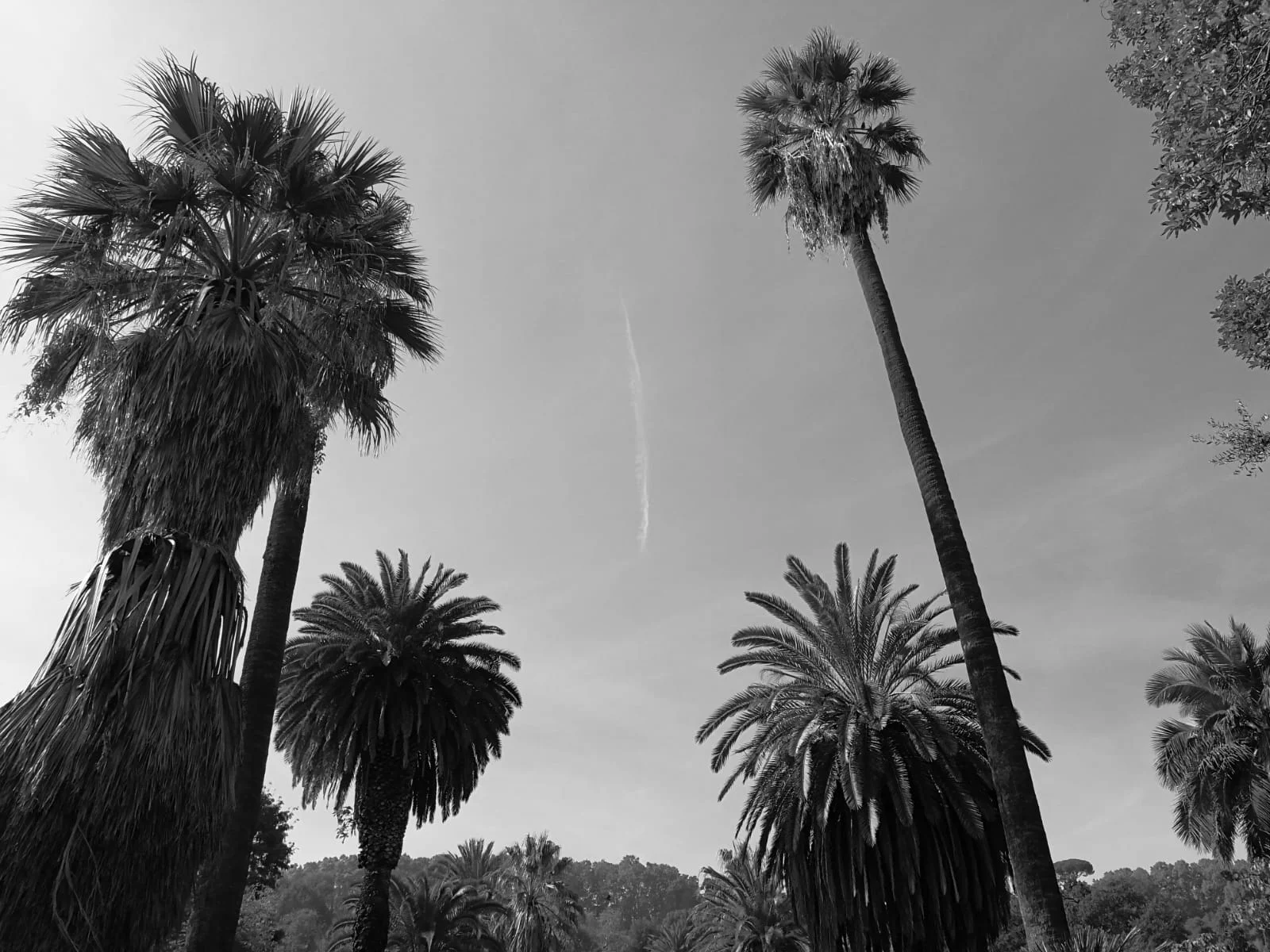 Orto Botanico: il mondo in dodici ettari