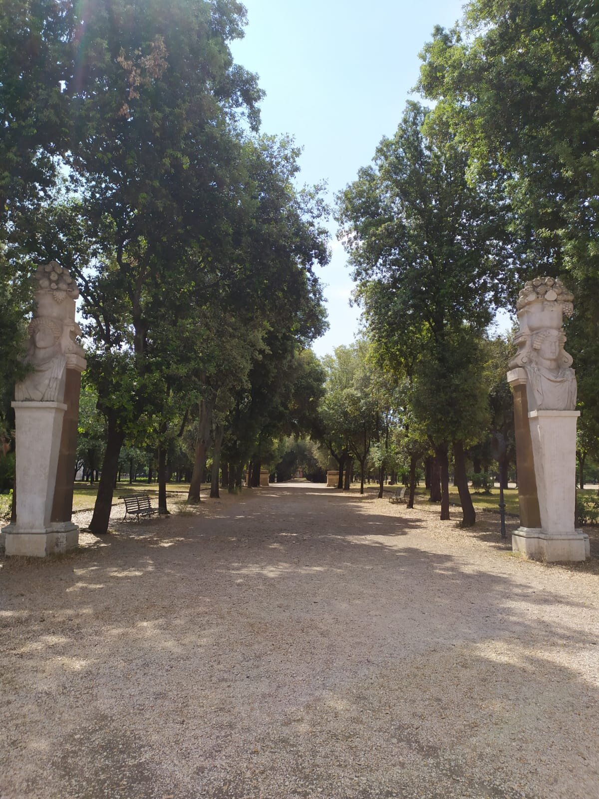 Villa Borghese-Parco dei Daini Viale.jpg