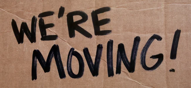 move1.jpg
