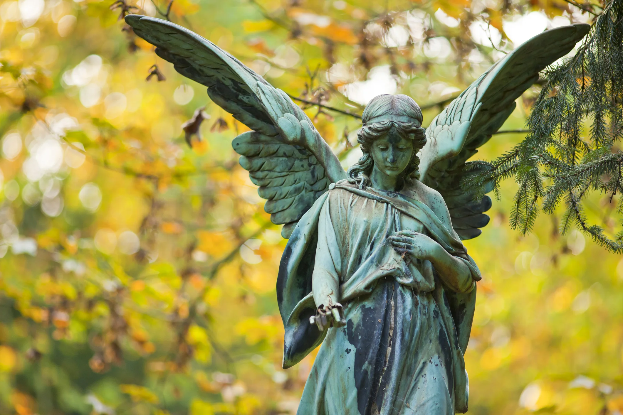 Reid Intuitive - Angel Side View.jpg