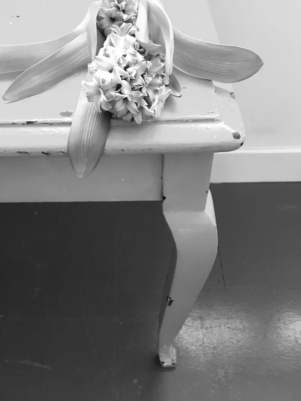IMG_5962.jpg