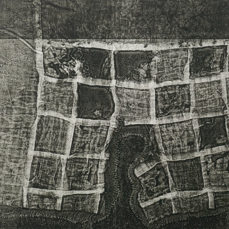 Dividing the Land