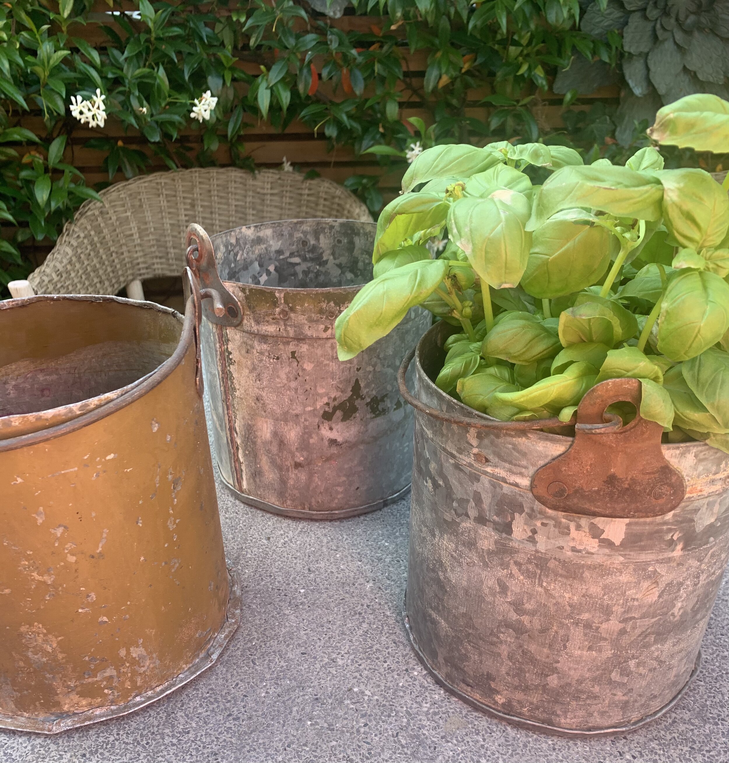 Vintage Galvanised Metal Bucket