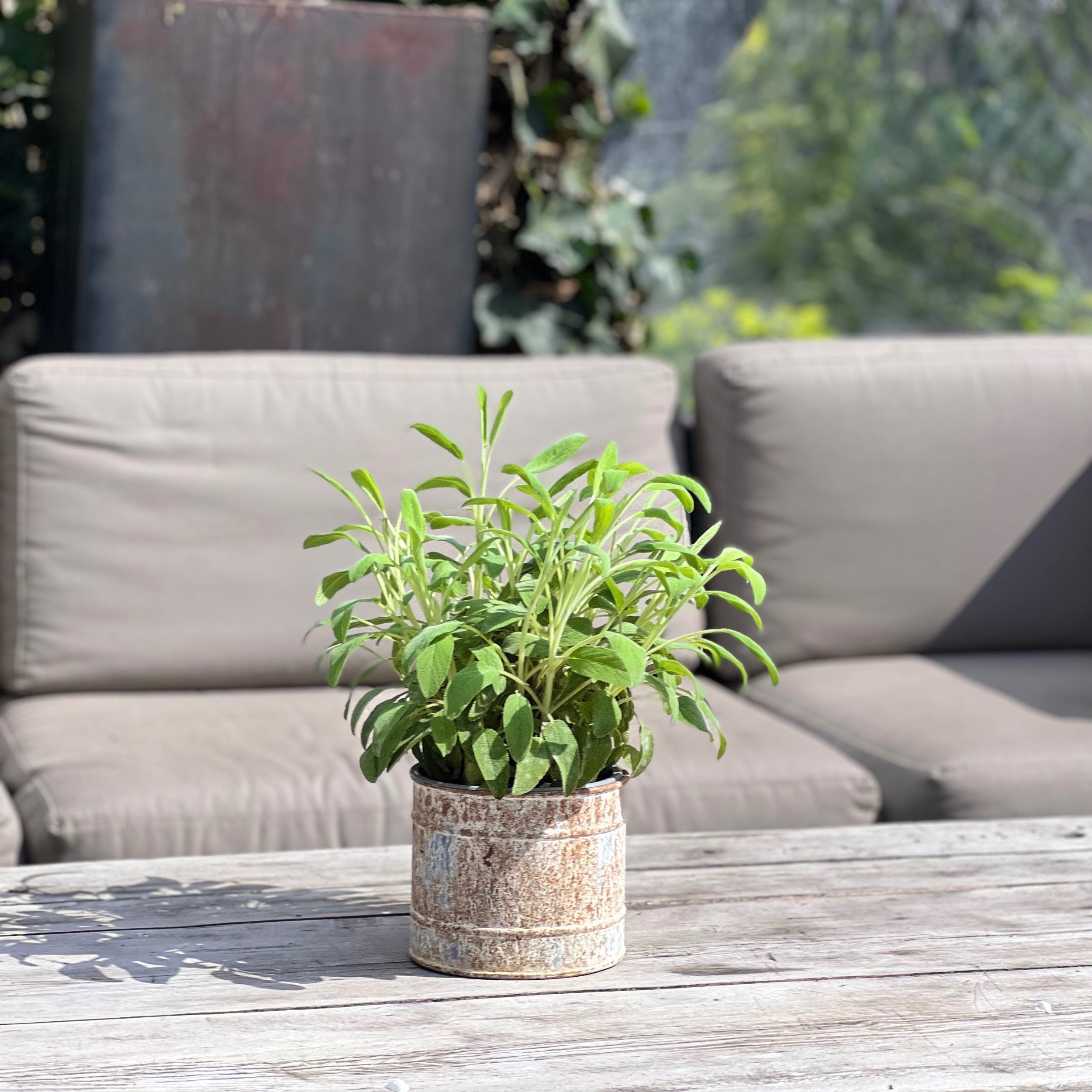 Rusted Zinc Flower Pots