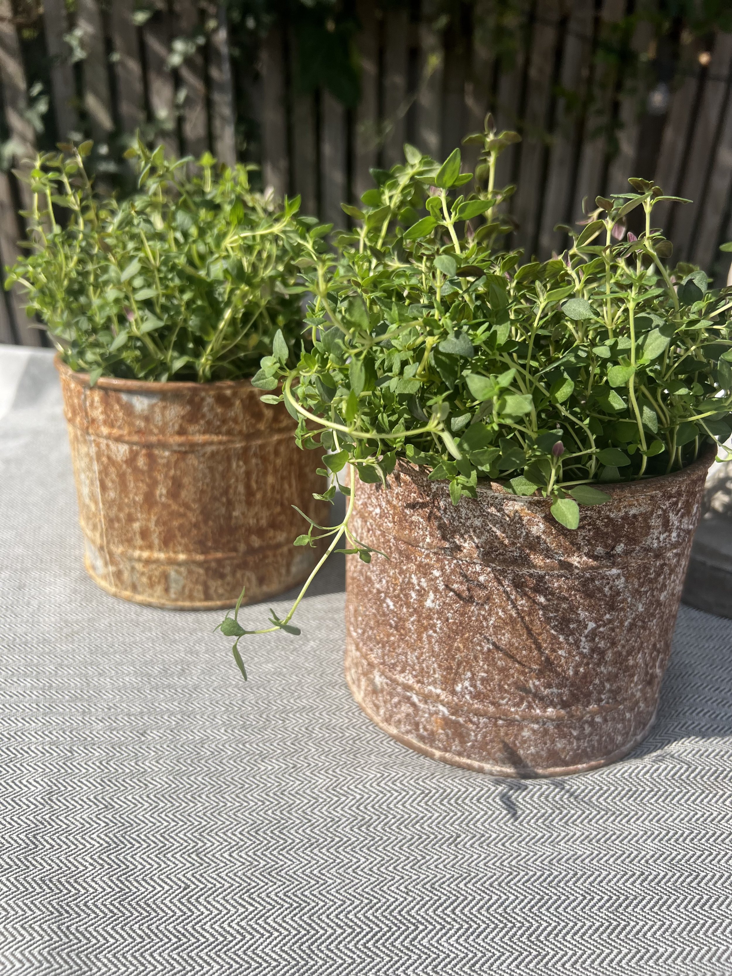 Rusty Metal Plant Pot