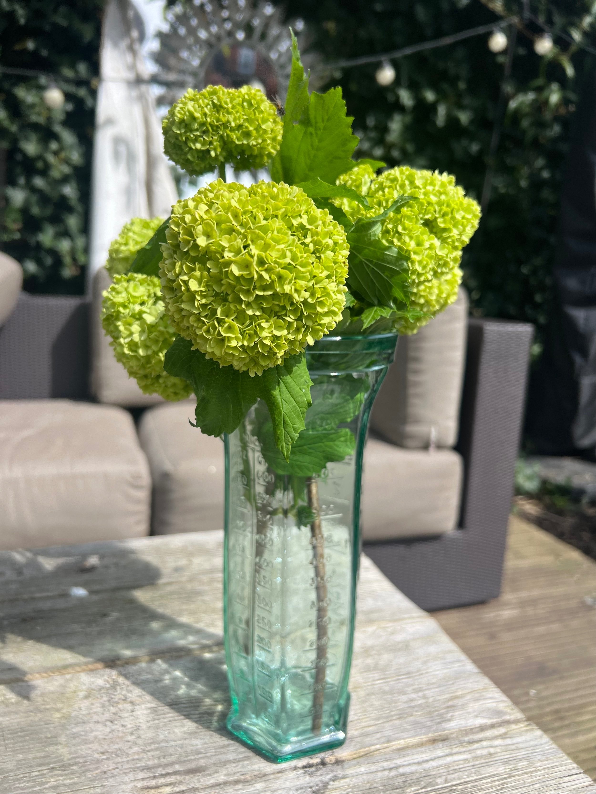 Pressed+Glass+Jug.jpg
