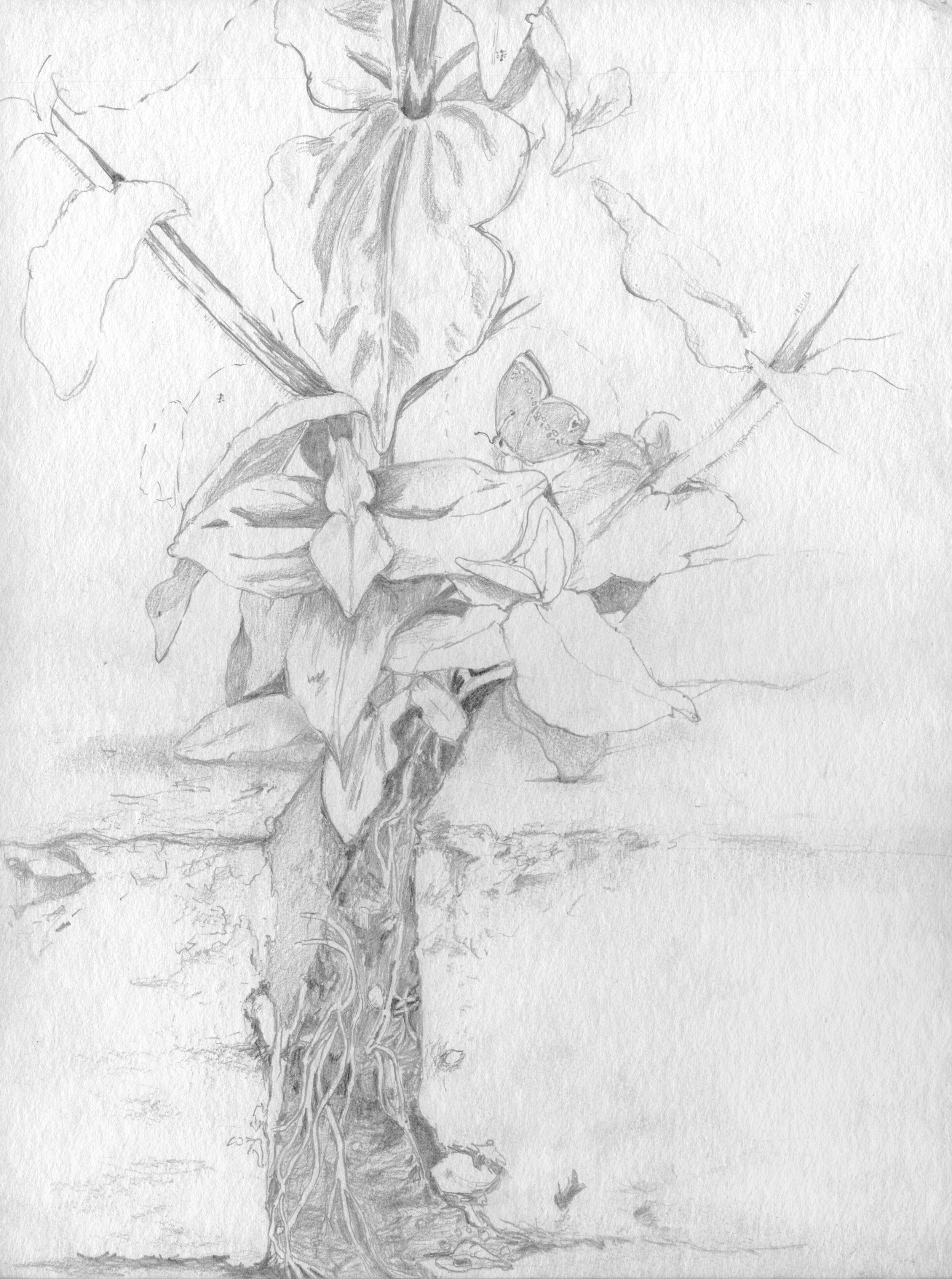Atlanta_Drawing_01 copy.jpg