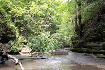 Matthiessen-State-Park.jpg
