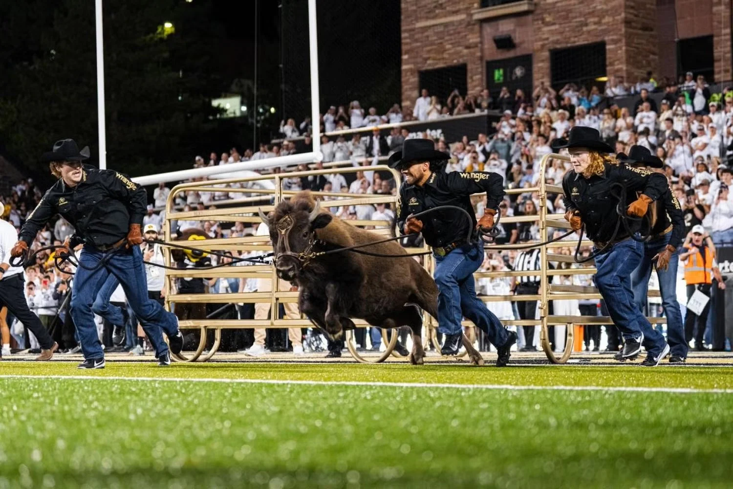 Fall 2025 Sports News