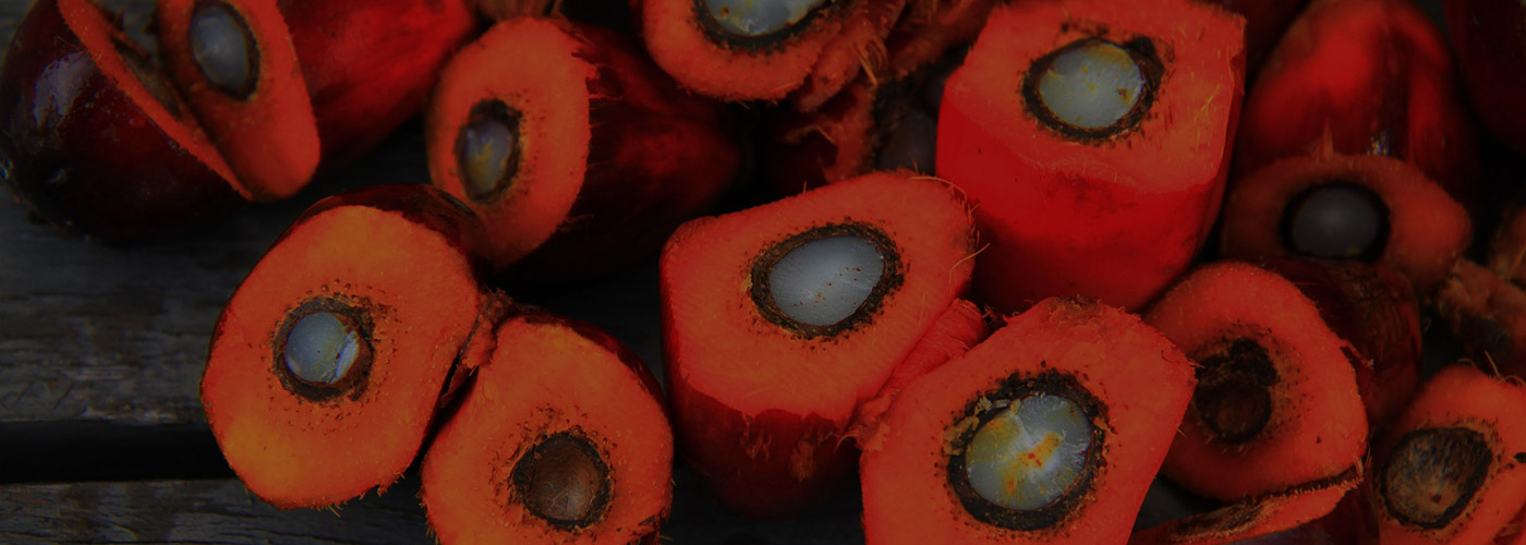 palm-oil.jpg