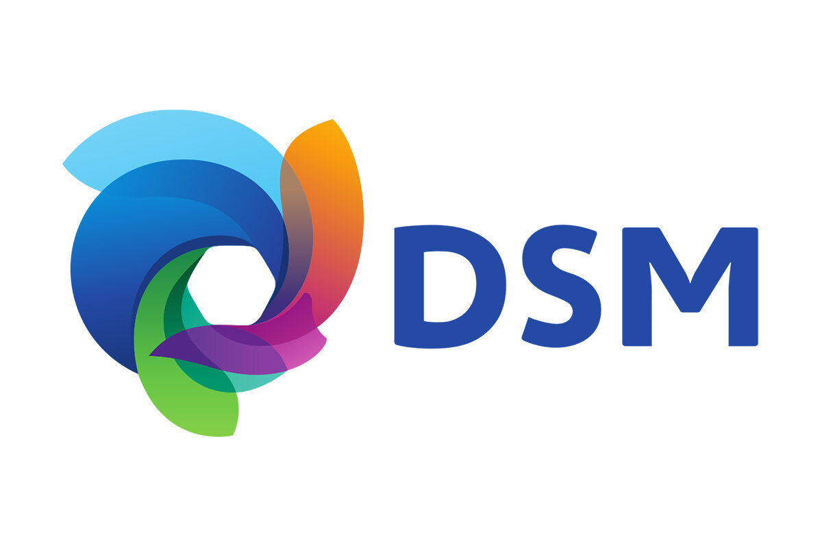 DSM-logo.jpeg