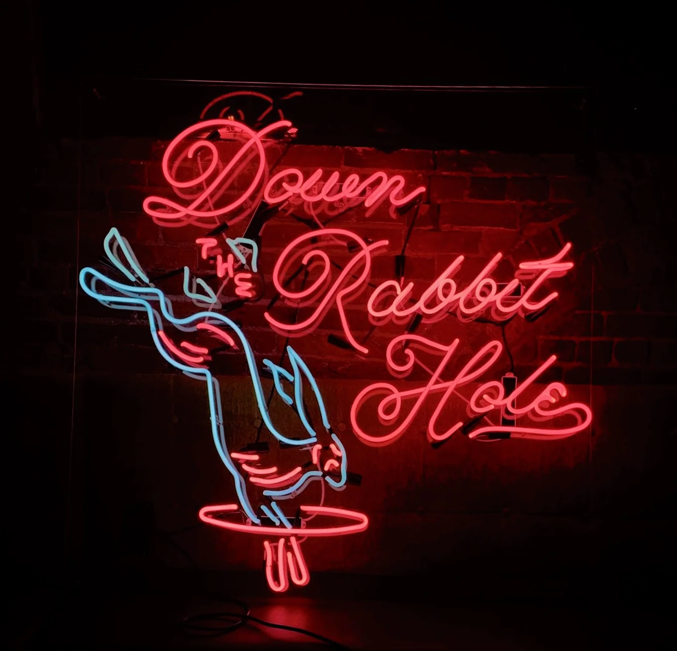 Down The Rabbit Hole