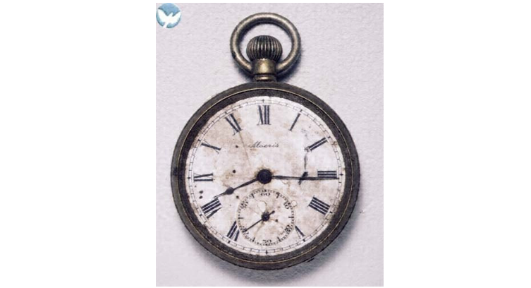 The Naked Watchmaker.com04.png
