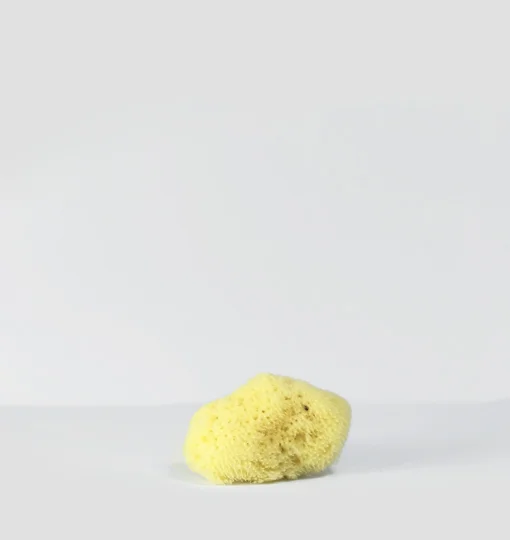 SPONGE-HONEYCOMB-SMALL-2.jpg