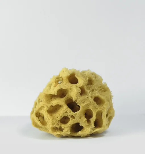 SPONGE-HONEYCOMB-MEDIUM-2.jpg