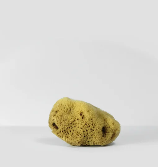 SPONGE-BROWN HONEYCOMB-MEDIUM-2.jpg
