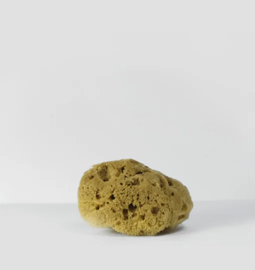 SPONGE-BROWN HONEYCOMB-MEDIUM-3.jpg