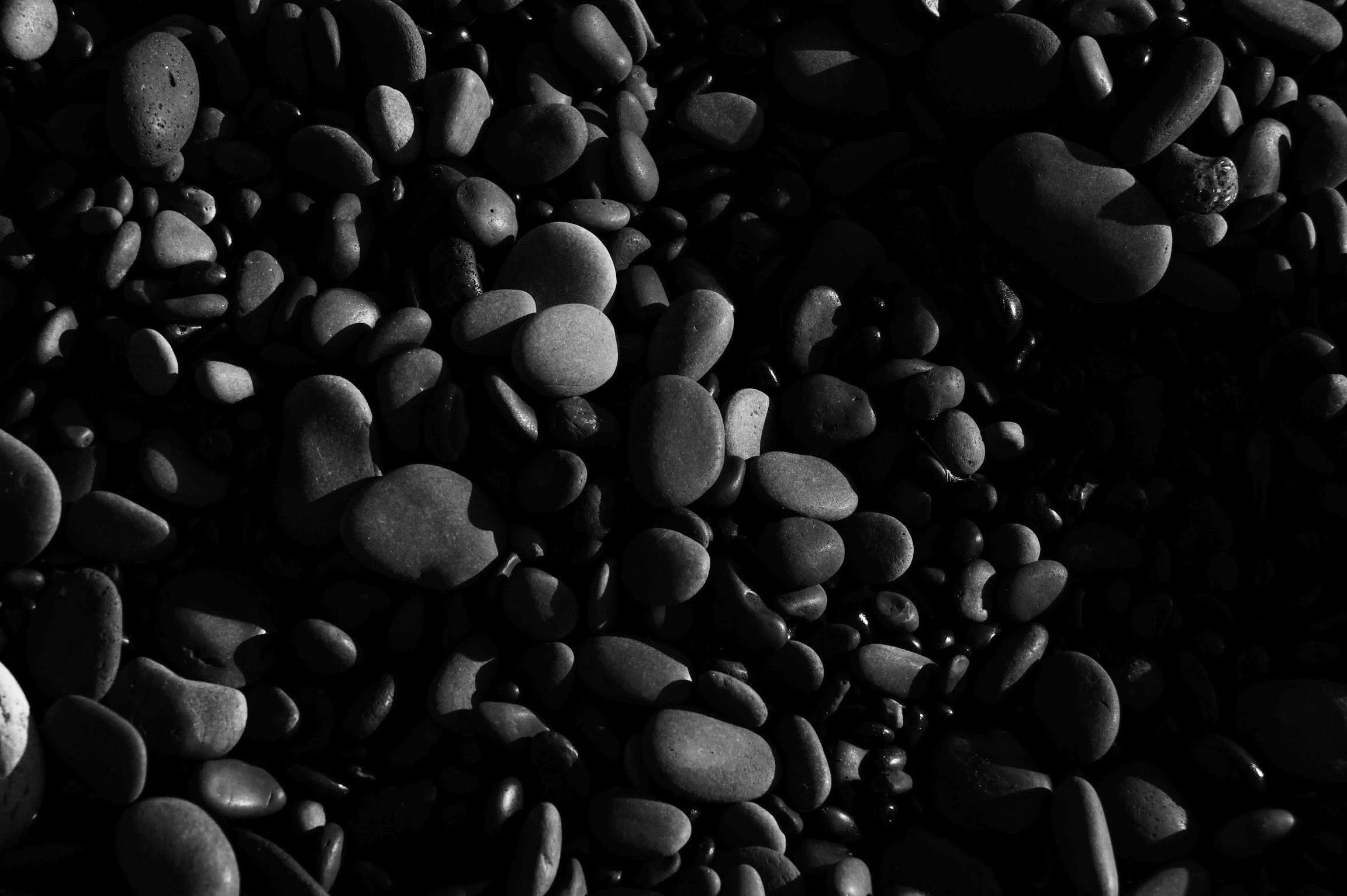 shoreline