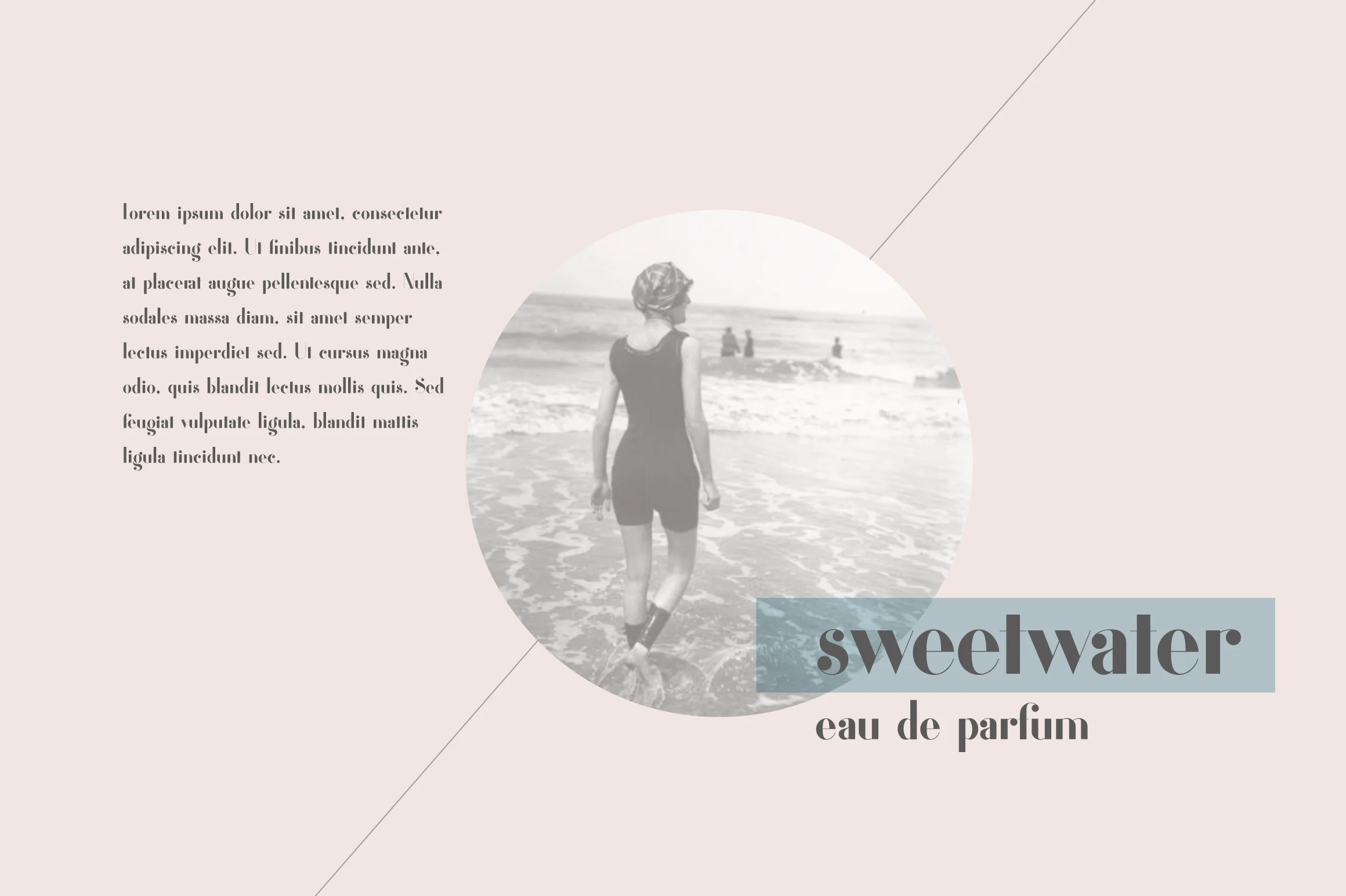 header-4.jpg