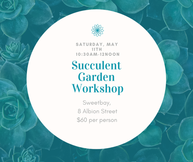 succulent class.png