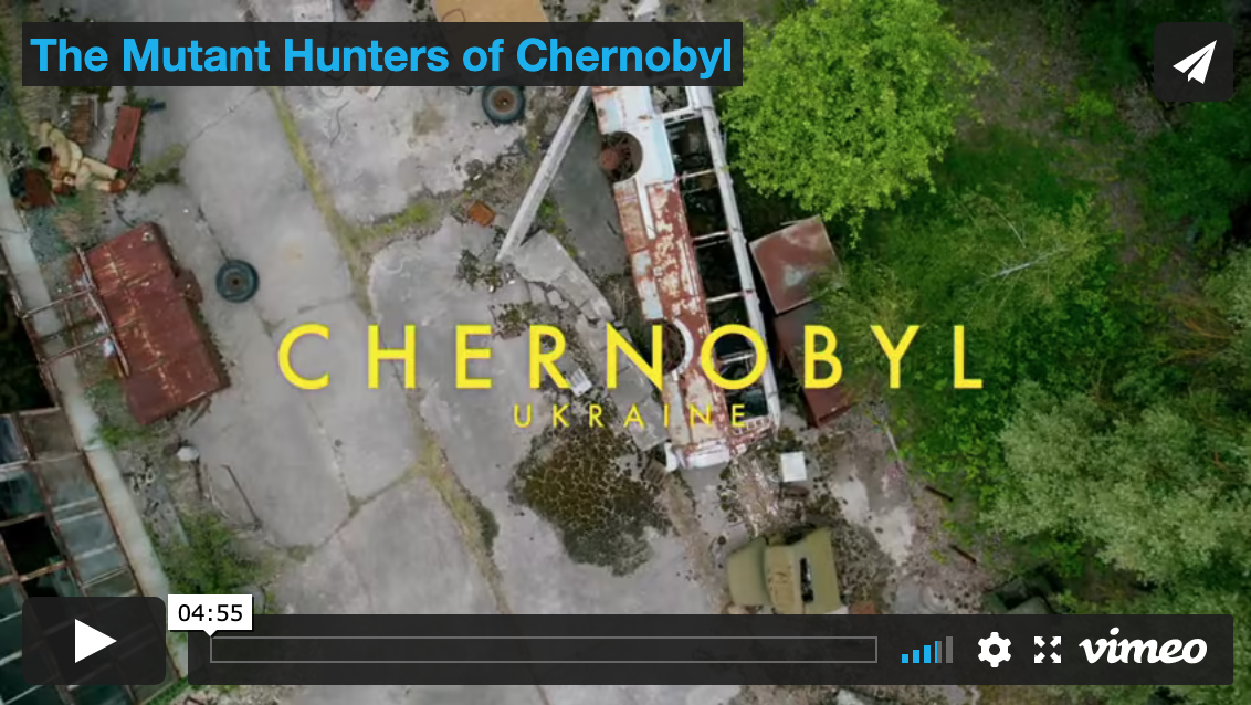 Chernobyl - mutant hunters