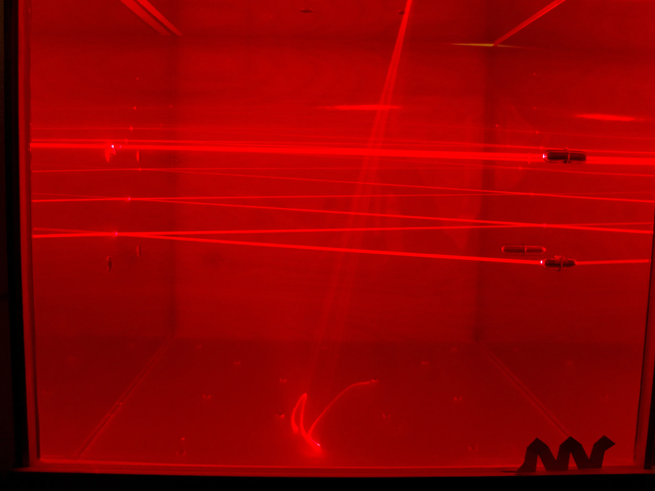 LaserFogDSCF4492.jpg