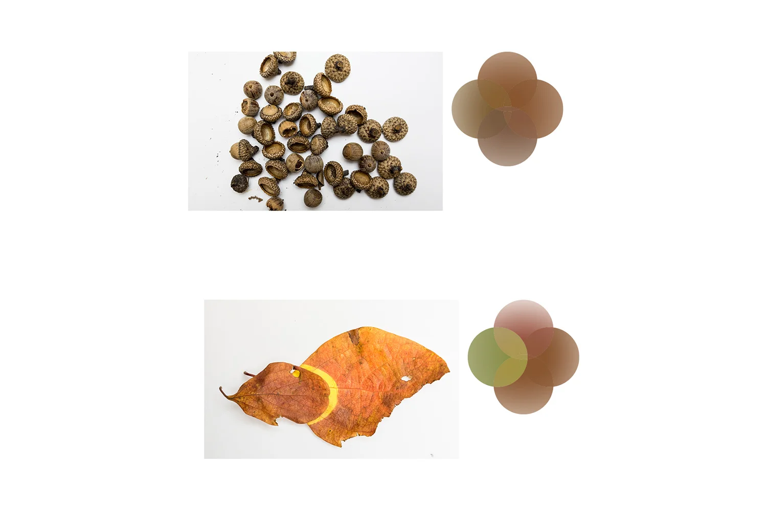SensingNatureProcessBook.jpg