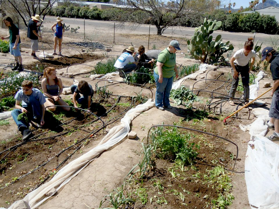 Sophomore Harvest Day