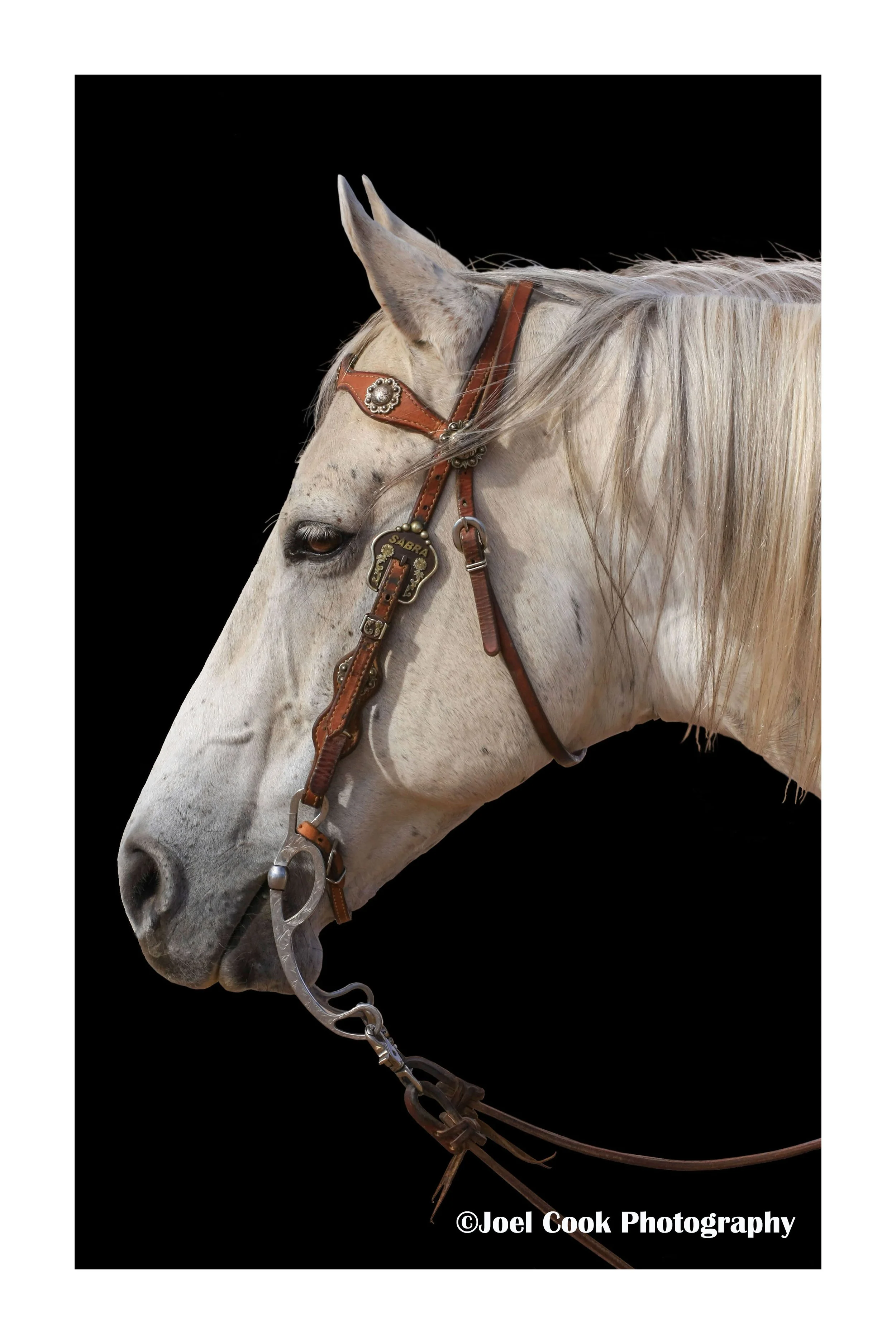 Portrait 12 x 18 w-border + text.jpg