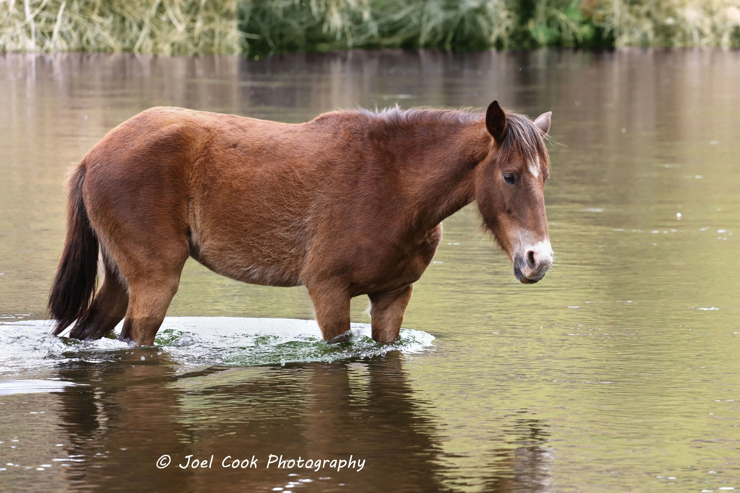 757A0068 II RP 69 12x18 w text.jpg