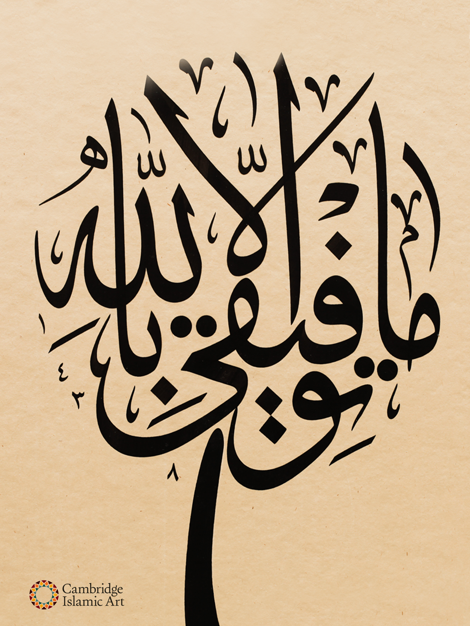 LOT_056_3.png