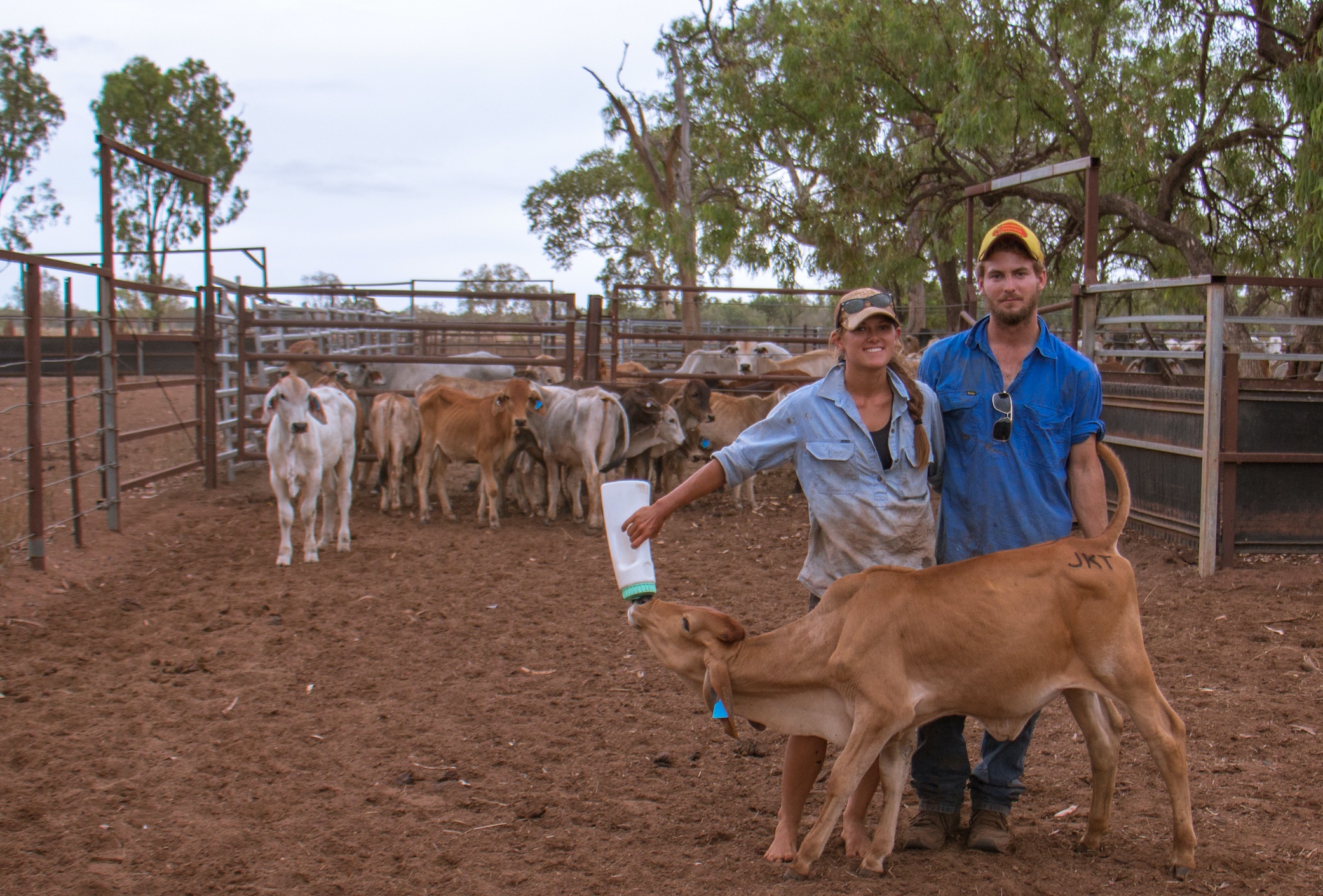 "I regained a sense of purpose which I hadn’t felt during my time in the city and my passion for livestock and the land continued to grow."