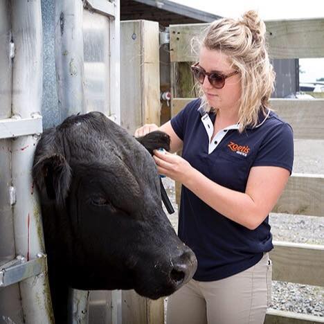 "As a personal passion, I play a role in the education of what it means to buy a ram or a bull with superior genetics."