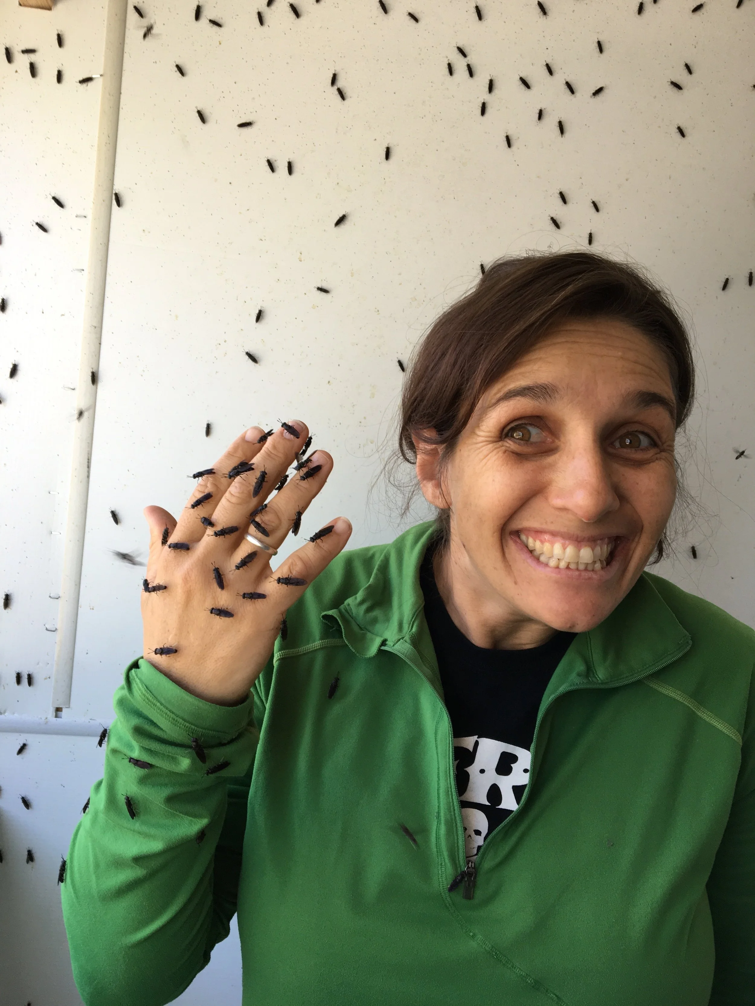 "It's a young industry but insect farming is one of the most dynamic agricultural industries emerging in the world today.