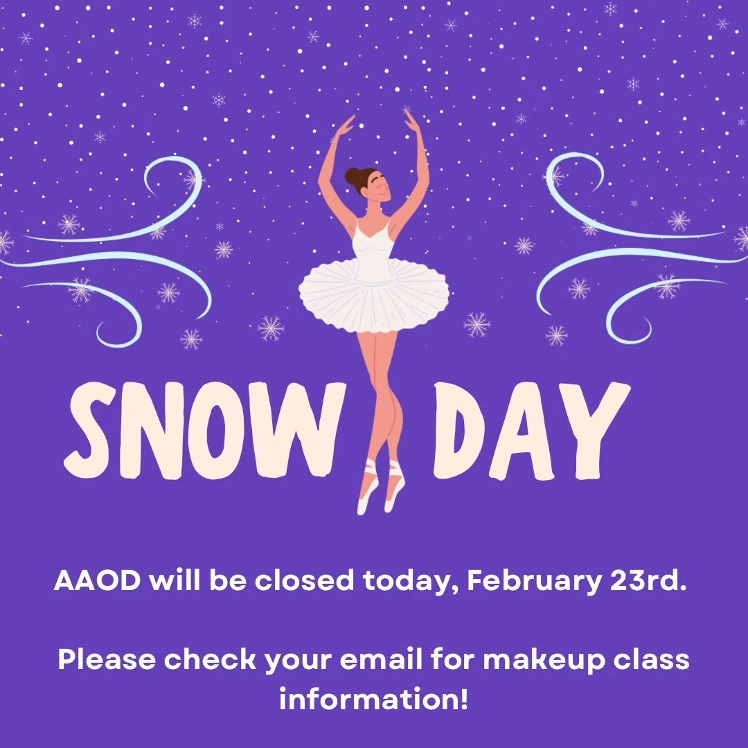❄️ Enjoy the snow day!