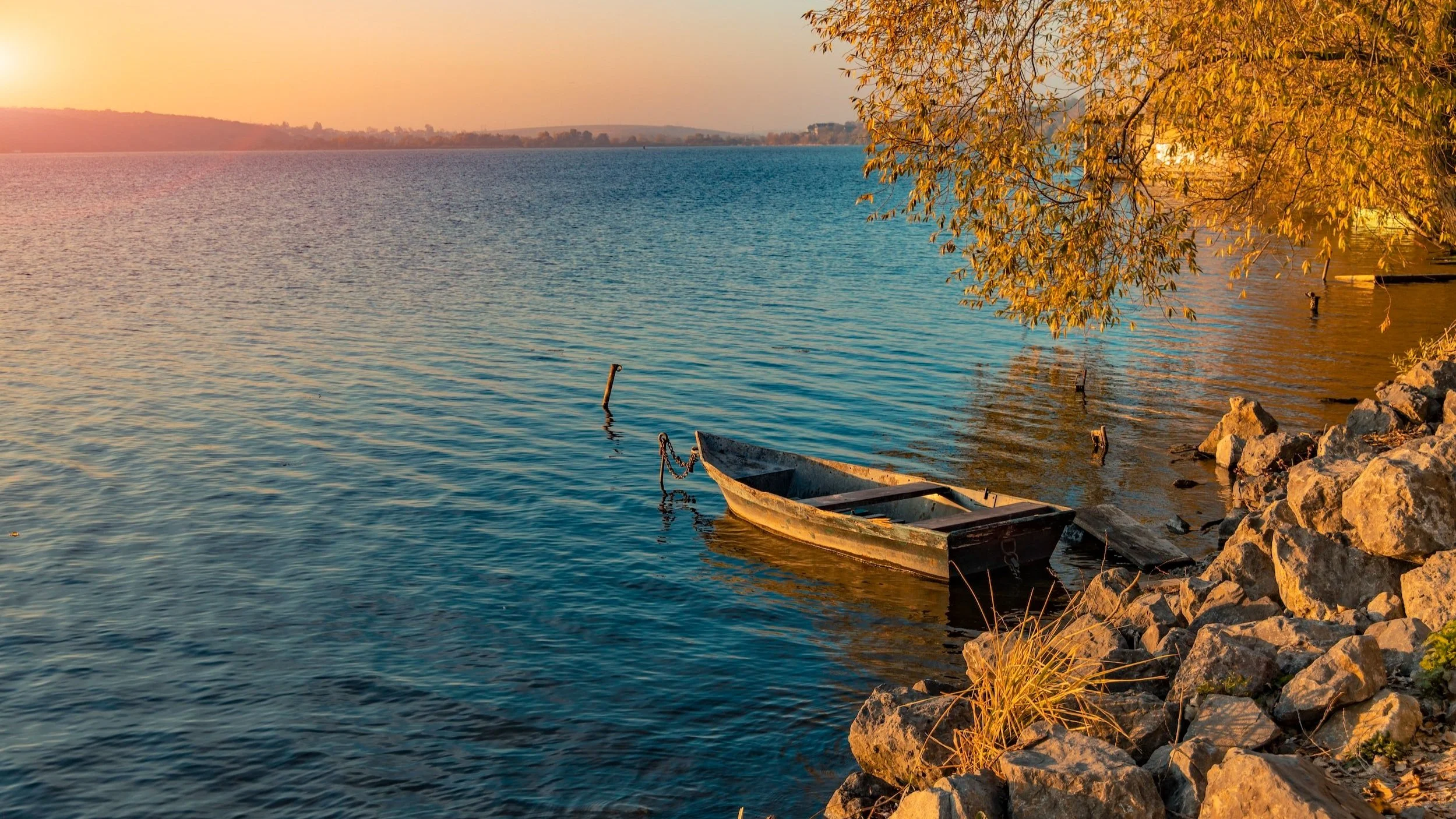 Circumstance and peace ...