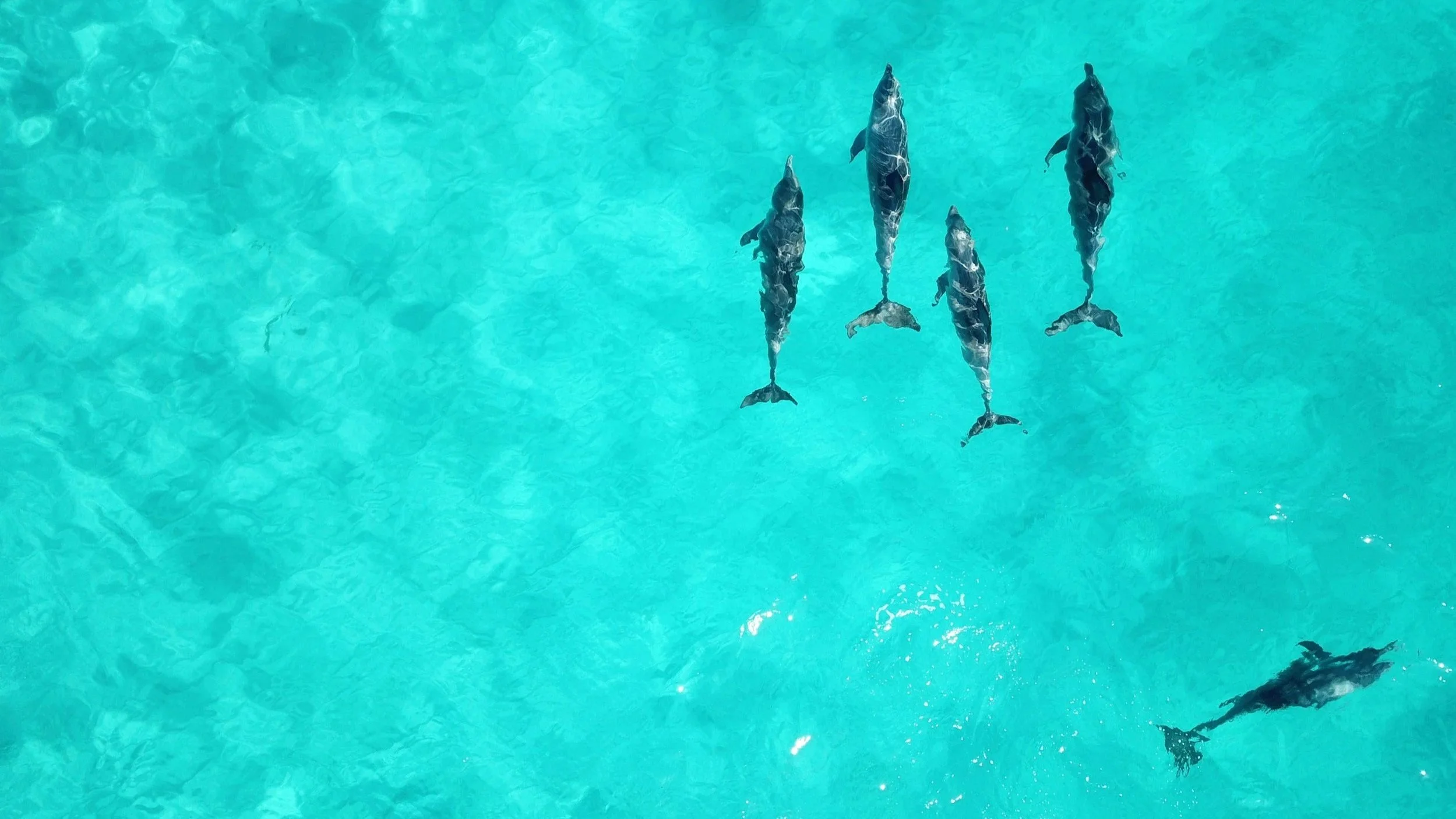 Clarity continuum ...