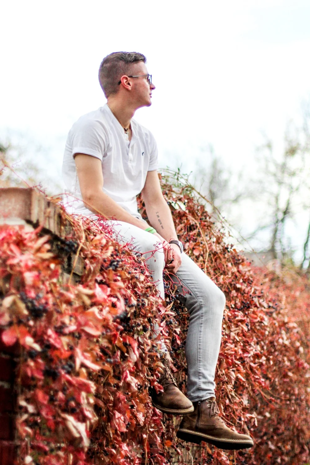 fall-3.jpg