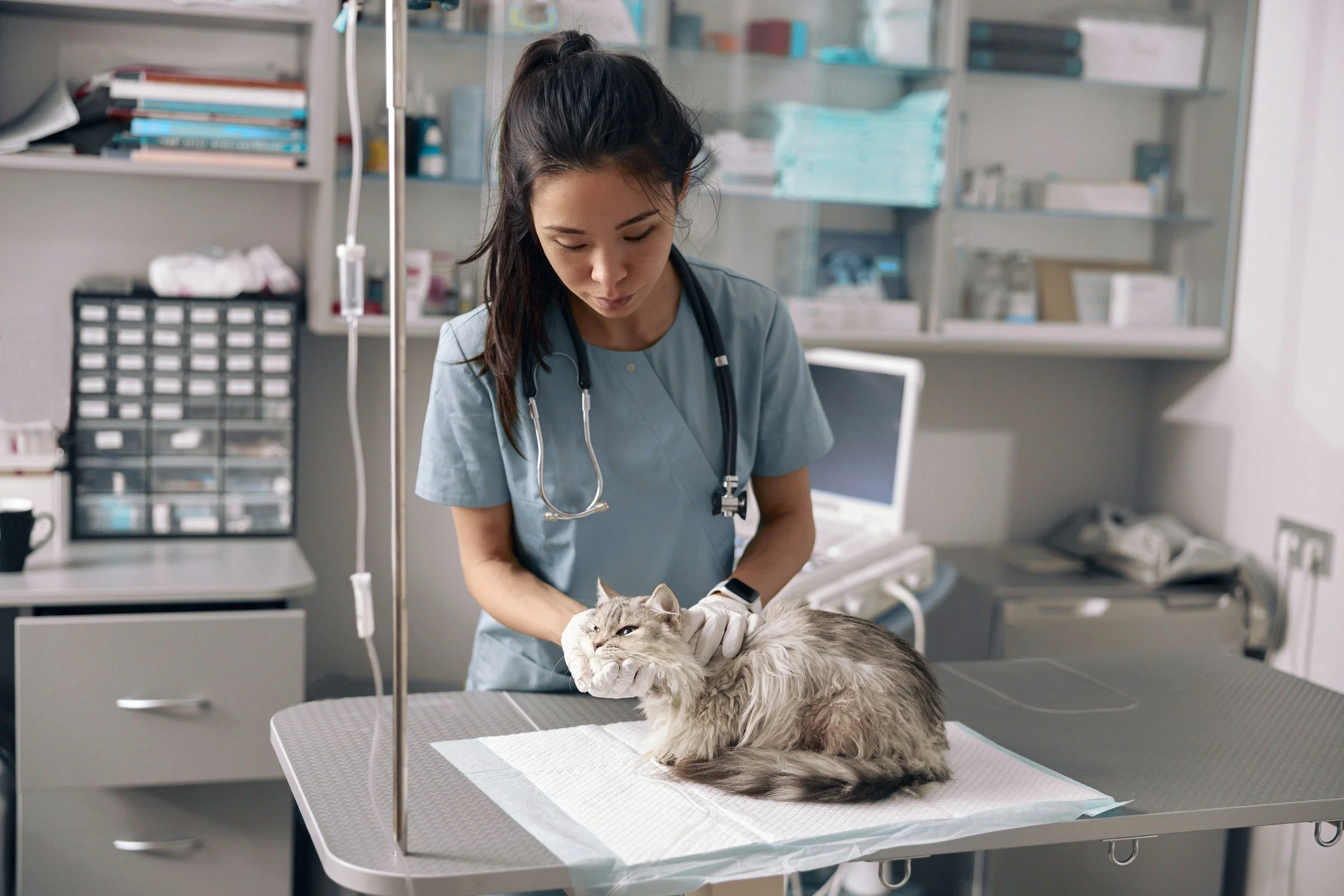 Veterinary Medical Supplies: What Every Clinic Needs