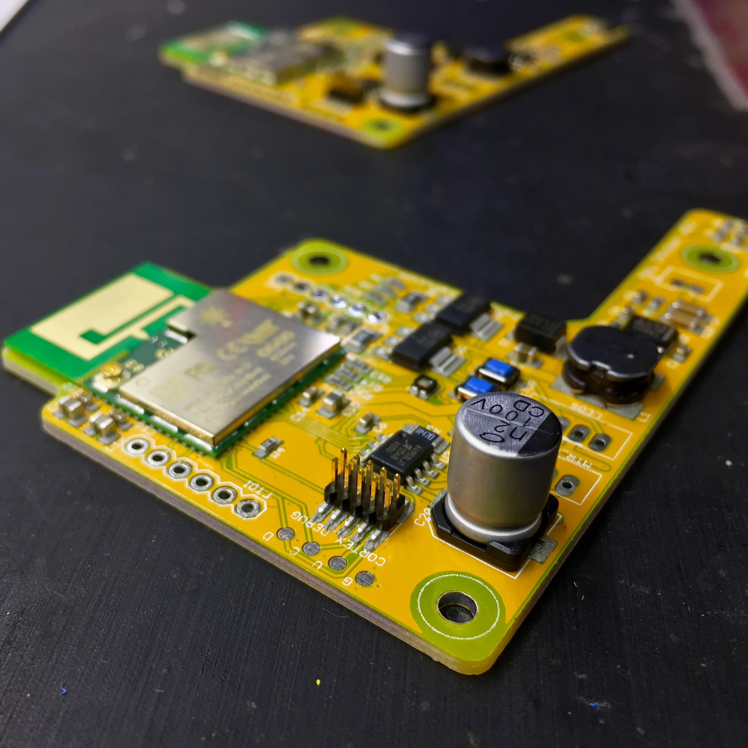 card board - 1.jpg