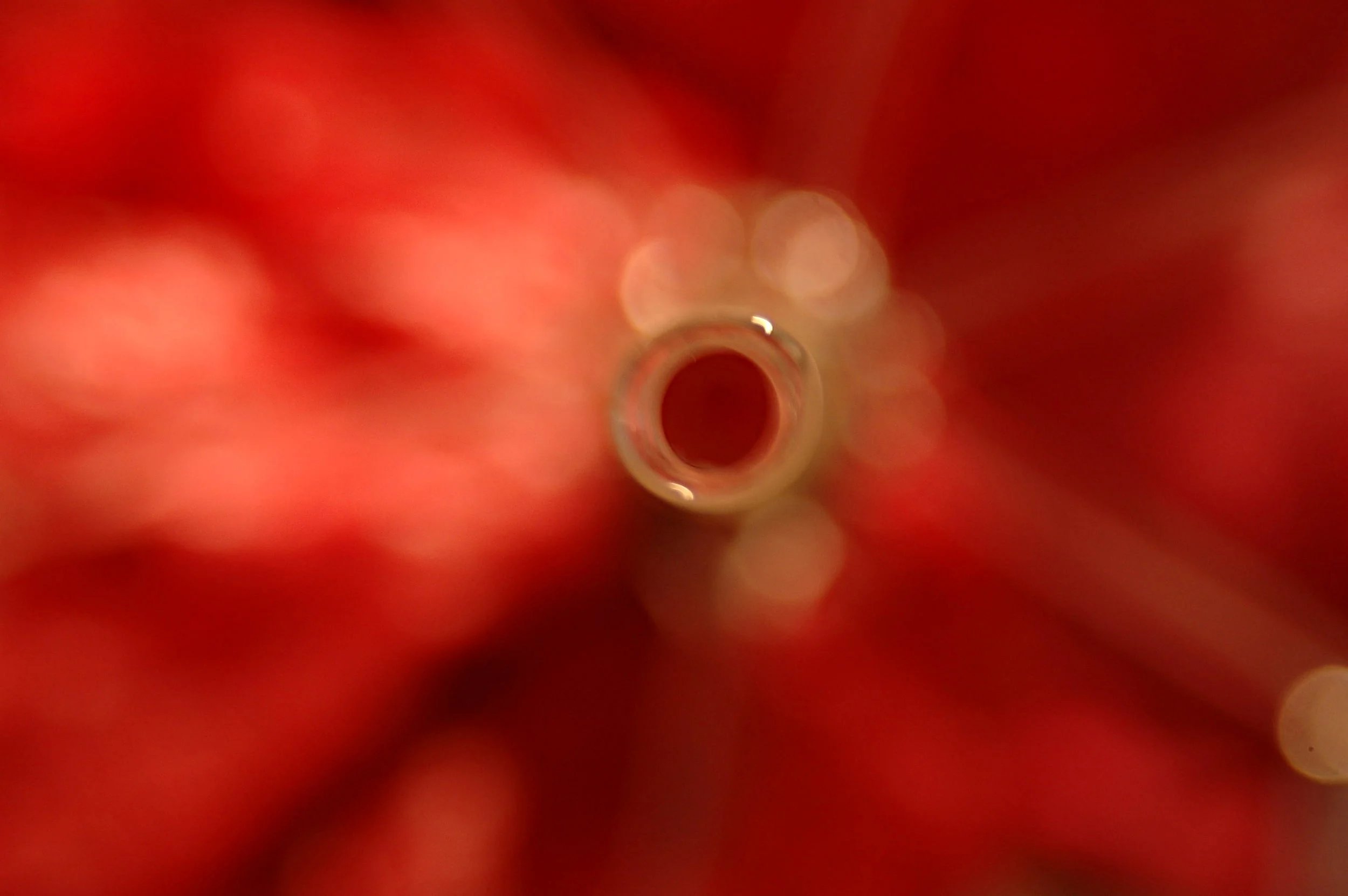 DSC_0061.JPG