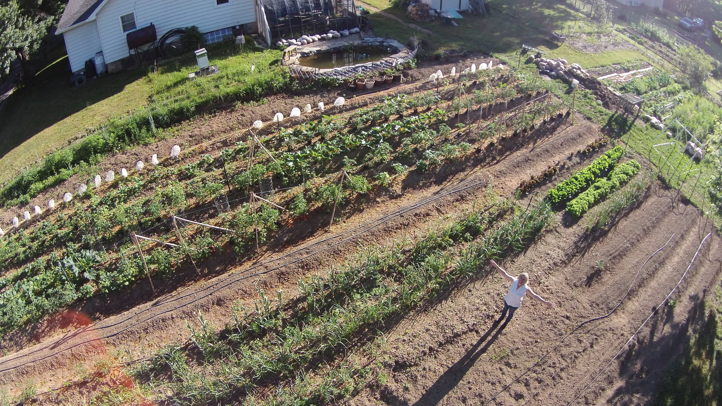 DJI00100.JPG