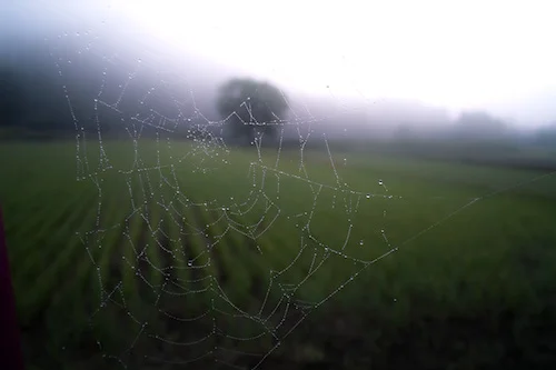 YOU ARE NOT A HELPLESS, HOPELESS SPIDER DESPERATELY TRYING TO CLIMB OUT OF A BATHTUB.jpeg