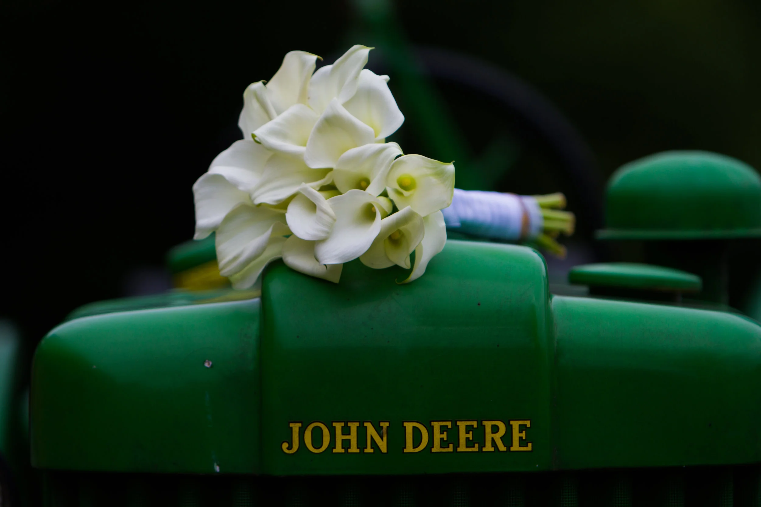 Elena+Dave-34.jpg